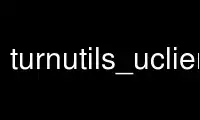 Run turnutils_uclient in OnWorks free hosting provider over Ubuntu Online, Fedora Online, Windows online emulator or MAC OS online emulator