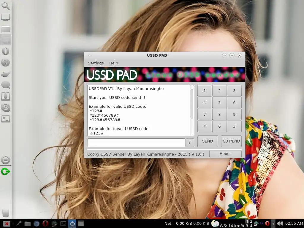 Download web tool or web app USSDpad