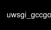 Run uwsgi_gccgo in OnWorks free hosting provider over Ubuntu Online, Fedora Online, Windows online emulator or MAC OS online emulator