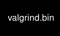 Run valgrind.bin in OnWorks free hosting provider over Ubuntu Online, Fedora Online, Windows online emulator or MAC OS online emulator