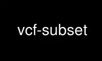 Run vcf-subset in OnWorks free hosting provider over Ubuntu Online, Fedora Online, Windows online emulator or MAC OS online emulator