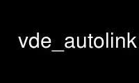 Run vde_autolink in OnWorks free hosting provider over Ubuntu Online, Fedora Online, Windows online emulator or MAC OS online emulator