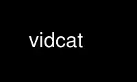 Run vidcat in OnWorks free hosting provider over Ubuntu Online, Fedora Online, Windows online emulator or MAC OS online emulator