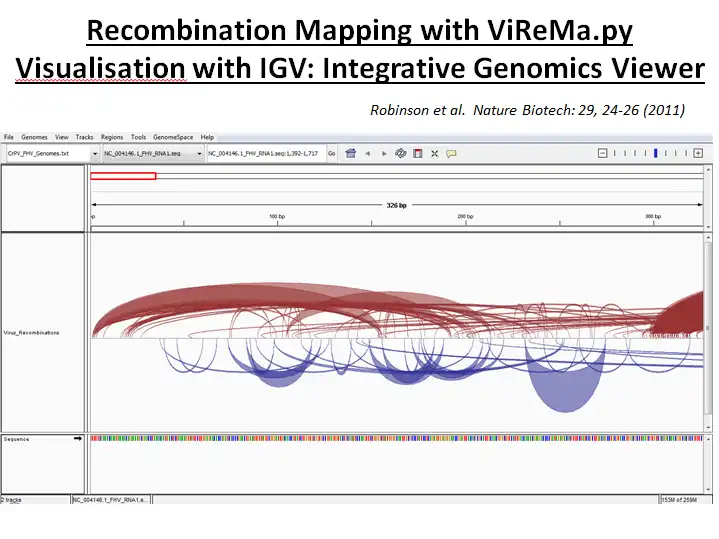 Download web tool or web app ViReMa to run in Linux online