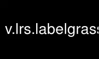 Run v.lrs.labelgrass in OnWorks free hosting provider over Ubuntu Online, Fedora Online, Windows online emulator or MAC OS online emulator