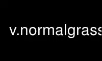 Run v.normalgrass in OnWorks free hosting provider over Ubuntu Online, Fedora Online, Windows online emulator or MAC OS online emulator