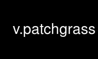 Run v.patchgrass in OnWorks free hosting provider over Ubuntu Online, Fedora Online, Windows online emulator or MAC OS online emulator