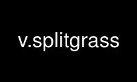 Run v.splitgrass in OnWorks free hosting provider over Ubuntu Online, Fedora Online, Windows online emulator or MAC OS online emulator