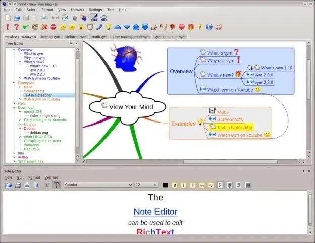 Descargue la herramienta web o la aplicación web vym - visualice su mente