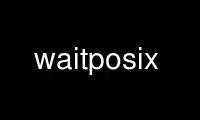 Run waitposix in OnWorks free hosting provider over Ubuntu Online, Fedora Online, Windows online emulator or MAC OS online emulator