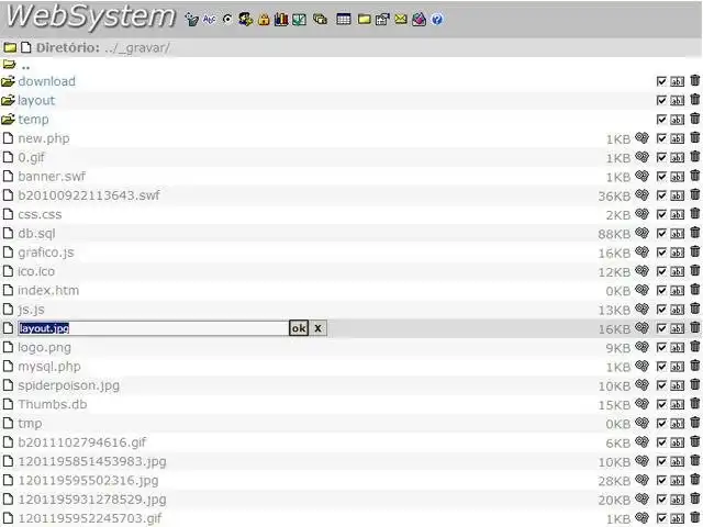 Download web tool or web app WebSystem