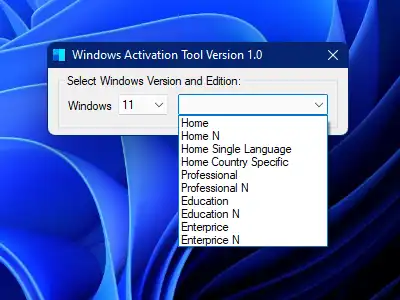 Laden Sie das Webtool oder die Web-App Windows 11 Activator herunter