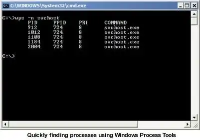 Download web tool or web app Windows Process Tools