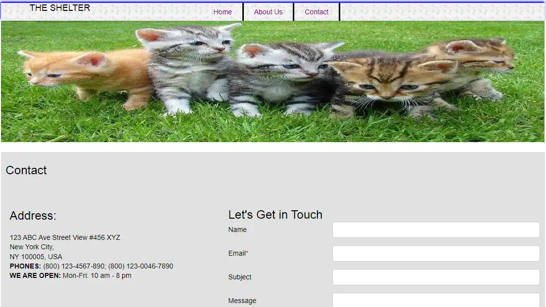 Download web tool or web app wp-animalshelter