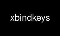 Run xbindkeys in OnWorks free hosting provider over Ubuntu Online, Fedora Online, Windows online emulator or MAC OS online emulator