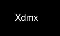 Run Xdmx in OnWorks free hosting provider over Ubuntu Online, Fedora Online, Windows online emulator or MAC OS online emulator