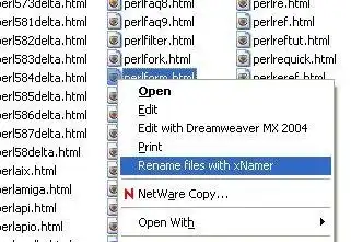 Download web tool or web app xNamer file renamer