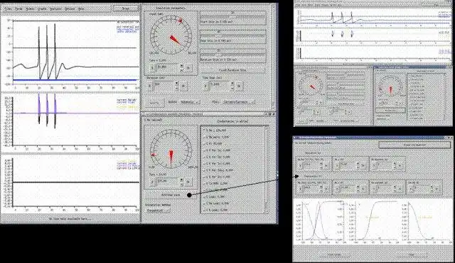 Download web tool or web app XNBC: neurobiology simulation tool to run in Windows online over Linux online