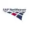 ग्रहण के लिए SAP NetWeaver सर्वर एडेप्टर